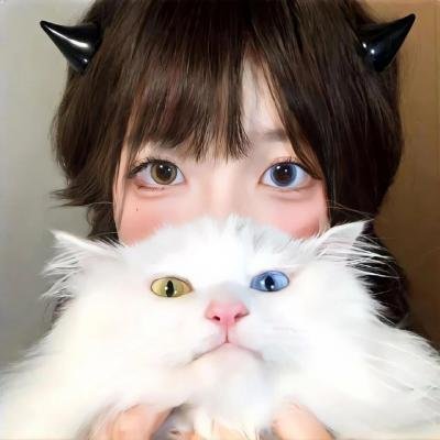 盒子里的猫 第二季